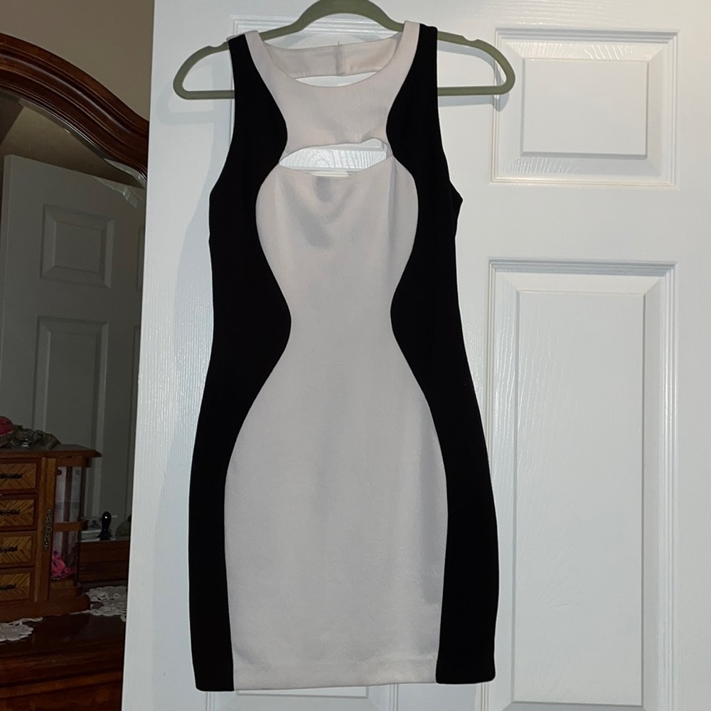 Arc & Co Black & White Dress